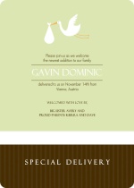 Brown and Green Stork Adoption Announcement