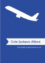 Blue Airplane Adoption Announcements
