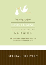 Green and Brown Stork Sibling Baby Announcement