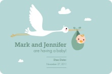 Special Delivery Stork Pregnancy Announcement