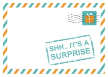 Top Secret Surprise Birthday Invitations
