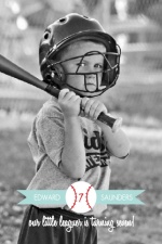 Banner Softball Red and Blue Kids Birthday Invitation