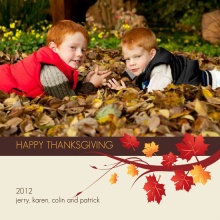 Autumn Tree Branch Thanksgiving Photo Card