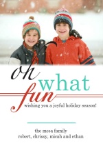 Oh What Fun Holiday Photo Card