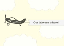 Sky Banner Plane Announcement Adoption Announcement