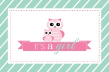 Mint Stripes and Pink Owls Girl Baby Shower Invitation