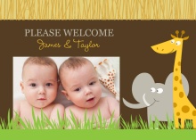 Safari Animals  Twins Baby Announcement