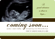 Green Sonogram Pregnancy Announcement