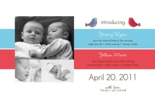Blue and Pink Birds Boy and Girl Twin Announcement