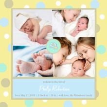 Sweet Yellow Baby Elephant  Sibling Announcement