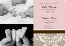 Soft and Sweet Pink and Brown Girls Twin Announcements