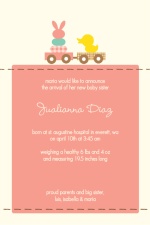 Pink Bunny and Duck Sibling Baby Announcement