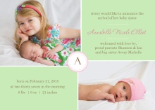 Mint Green and Pink  Photo Sibling Announcement
