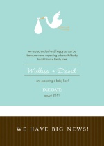 Blue and Brown Stork Pregnancy Announcement Card