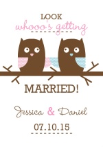 Cute Getting Married Owls Save The Date 