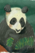 Panda in the Wild Artist Card