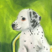 Dalmatian Puppy Artist Card