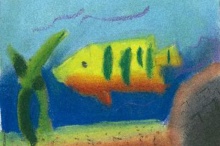 Colorful Fish Artist Card