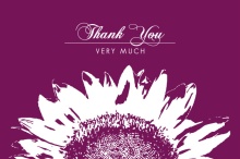 White Sunflower  Thank You Card