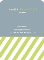 Gray and Green Stripe Business Card