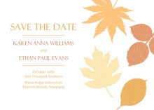 Multi Colored Fall Leaves  Save The Date