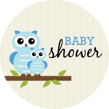 Blue Whimsical Owls  Boy Baby Shower Invitation