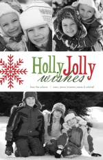 Holly Jolly Red and Green Holiday Photo Card
