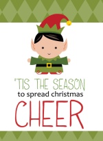 Green Christmas Elf Photo Cards