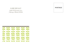 Green Spring Pattern  Full Envelope
