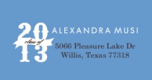  Brown and Skyblue Blocks  Address Label