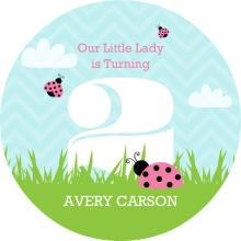 Pink and Green Garden Ladybug Birthday Invitation