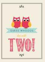 Whimsical Pink and Cream Owl Twins Baby Shower Invitation