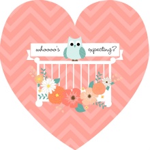 Pink and Teal Floral Owl Baby Shower Invitation